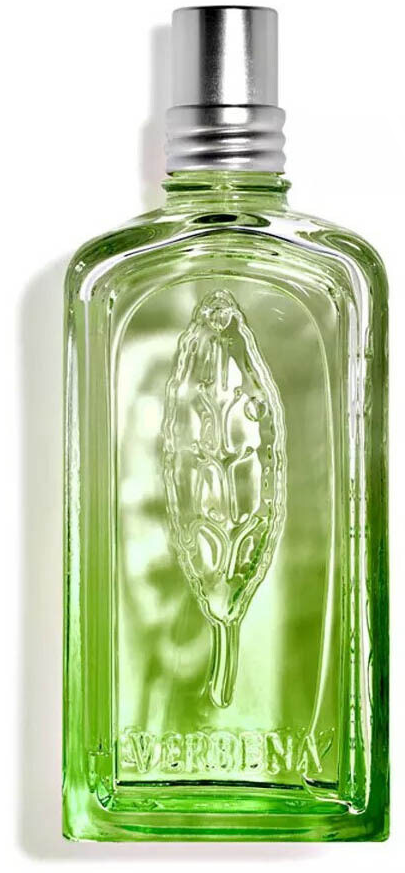 香水(女性用) Verveine Cactus Eau de Toilette 100ml Amazon.co.jp: アクアカクタスヴァーベナ オードトワレ 100mL