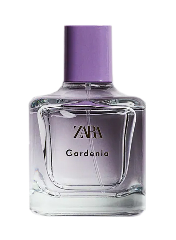 Gardenia Zara perfume a fragrance for women 2021