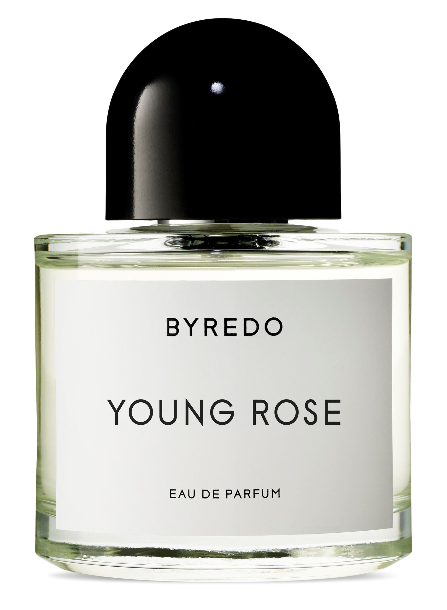 Young Rose : Eau de Parfum 50ml : Luxury Fragrance