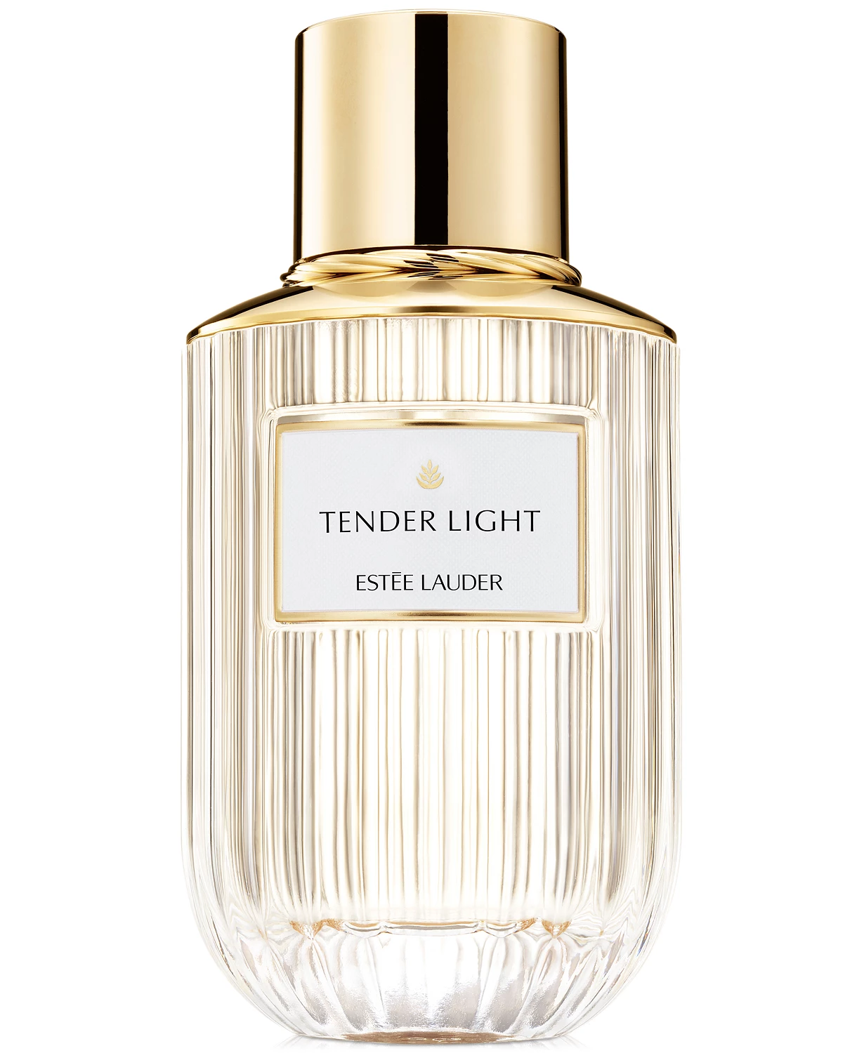 香水(女性用) Tender light 40ml Tender Light Estée Lauder perfume - a fragrance for women and men 2021