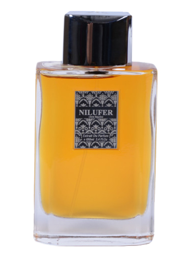 Bottle image
