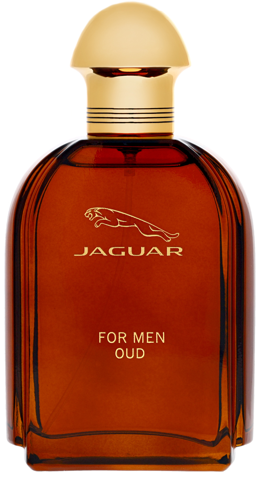 Jaguar For Men Oud Jaguar cologne a fragrance for men 2021