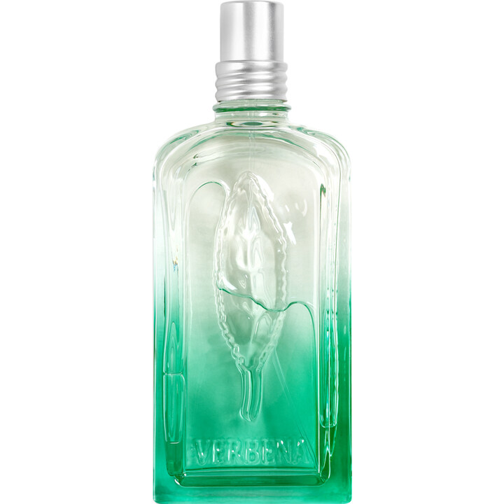 Verveine Fleur de Carotte L'Occitane en Provence perfume