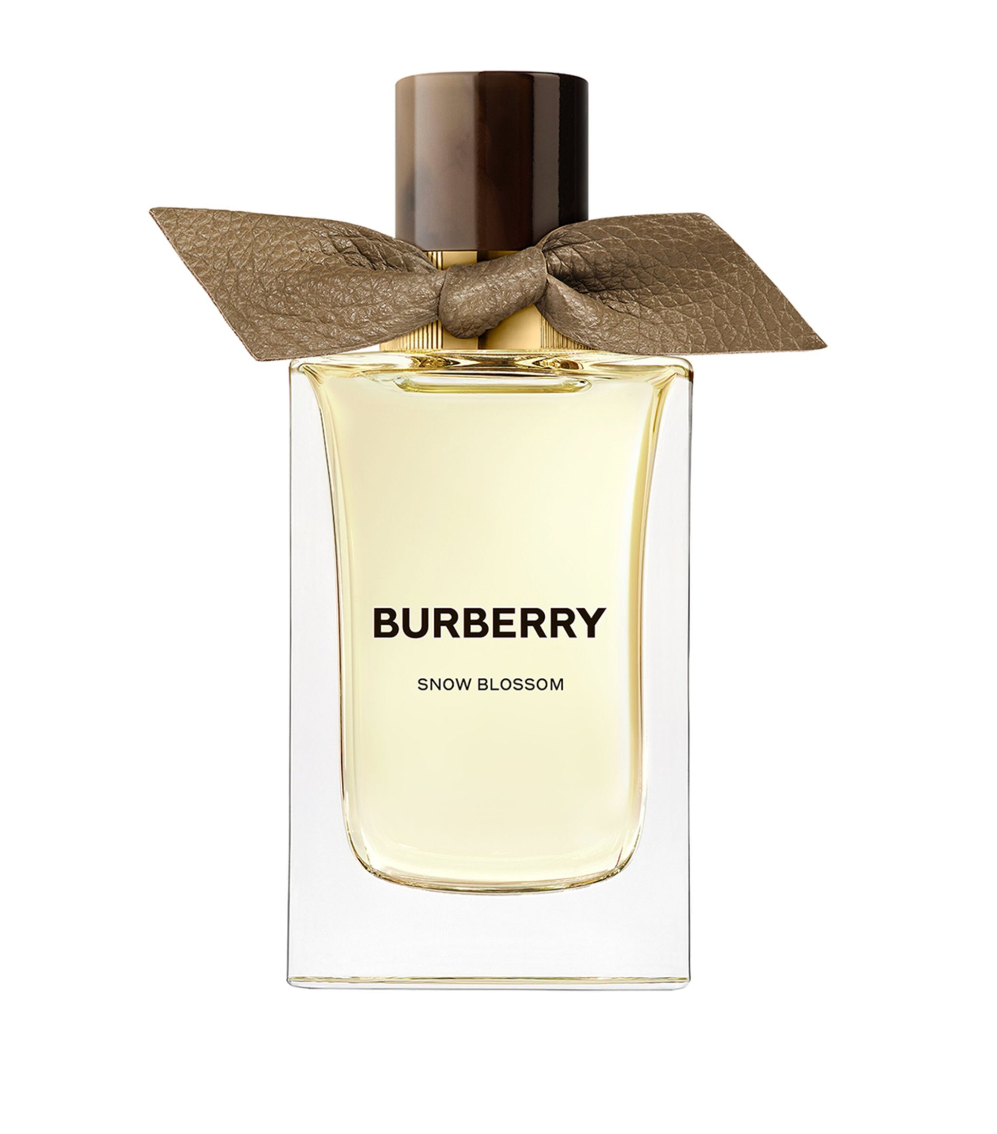 Snow Blossom Burberry 香水- 一款2023年新的中性香水