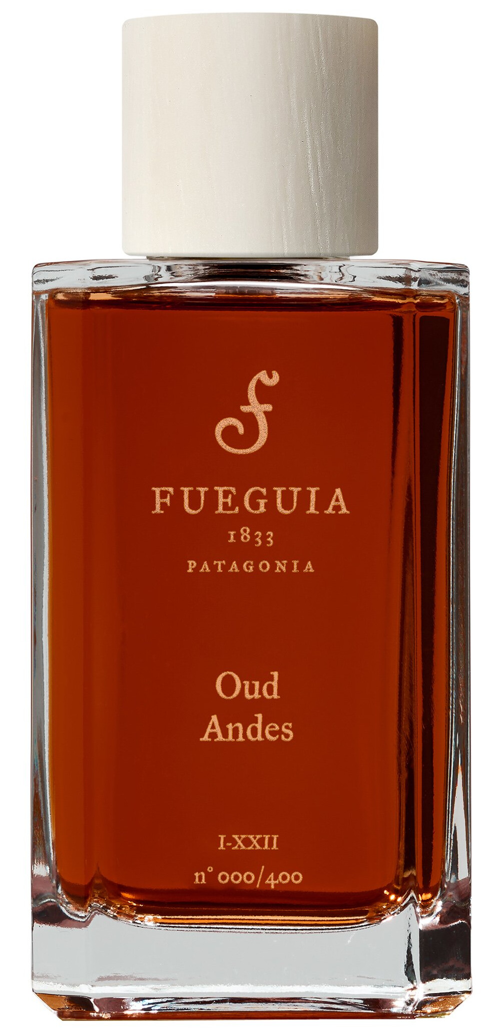【廃盤50ml】 FUEGUIA \"Ambre de los Andes\" Ambar de los Andes Fueguia 1833 perfume - a fragrance for