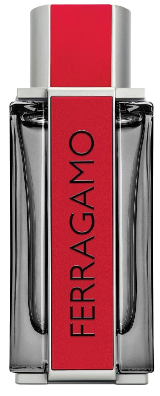 サルヴァトーレフェラガモレッドレザーEDP100ml RED LEATHER 楽天市場】【Ferragamo フェラガモ 公式 】レッドレザー オーデ