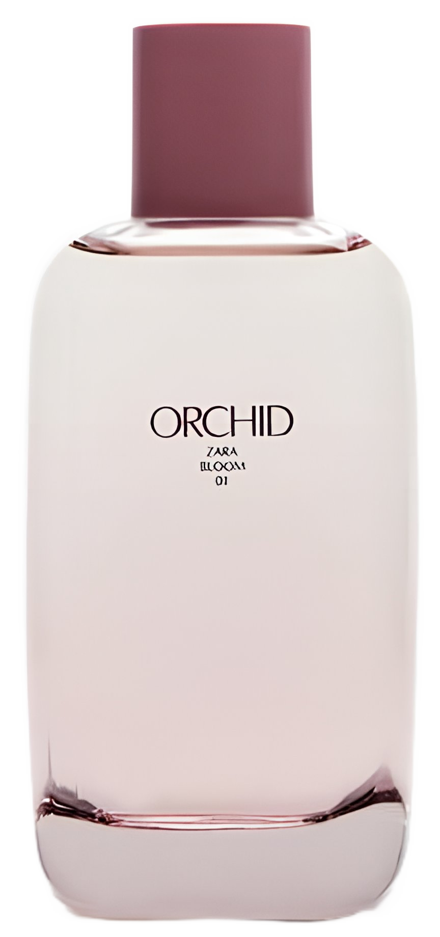 Orchid Bloom 01 Zara parfem parfem za žene 2021