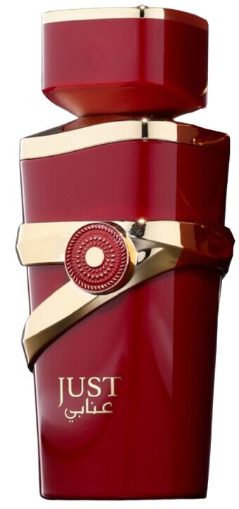 香水(女性用) Lattafa Lahdath & FW Just Anabi Amazon.com : Fragrance World Just Anabi Eau de Parfum for