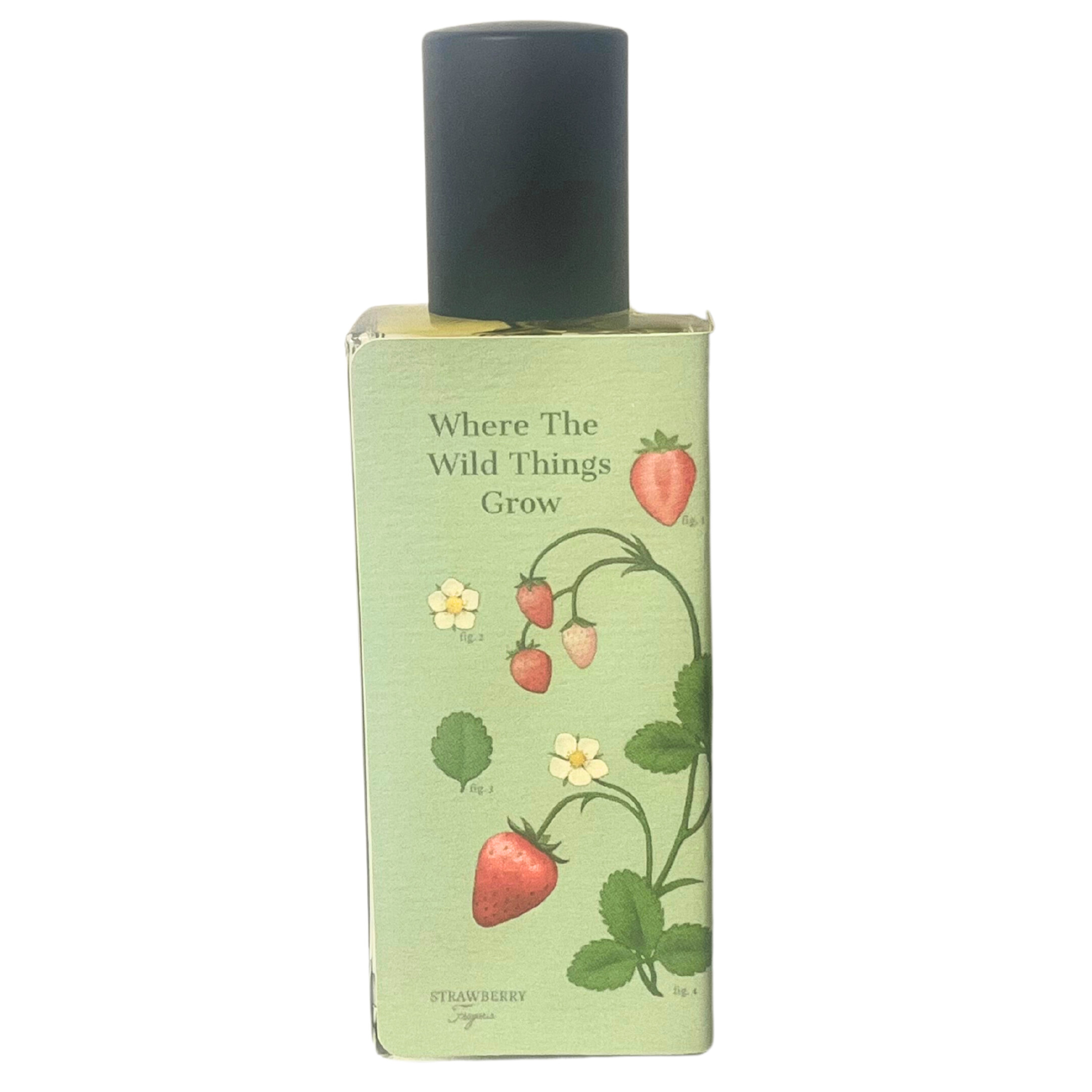 Where the Wild Things Grow Sorce perfume a fragrance for women