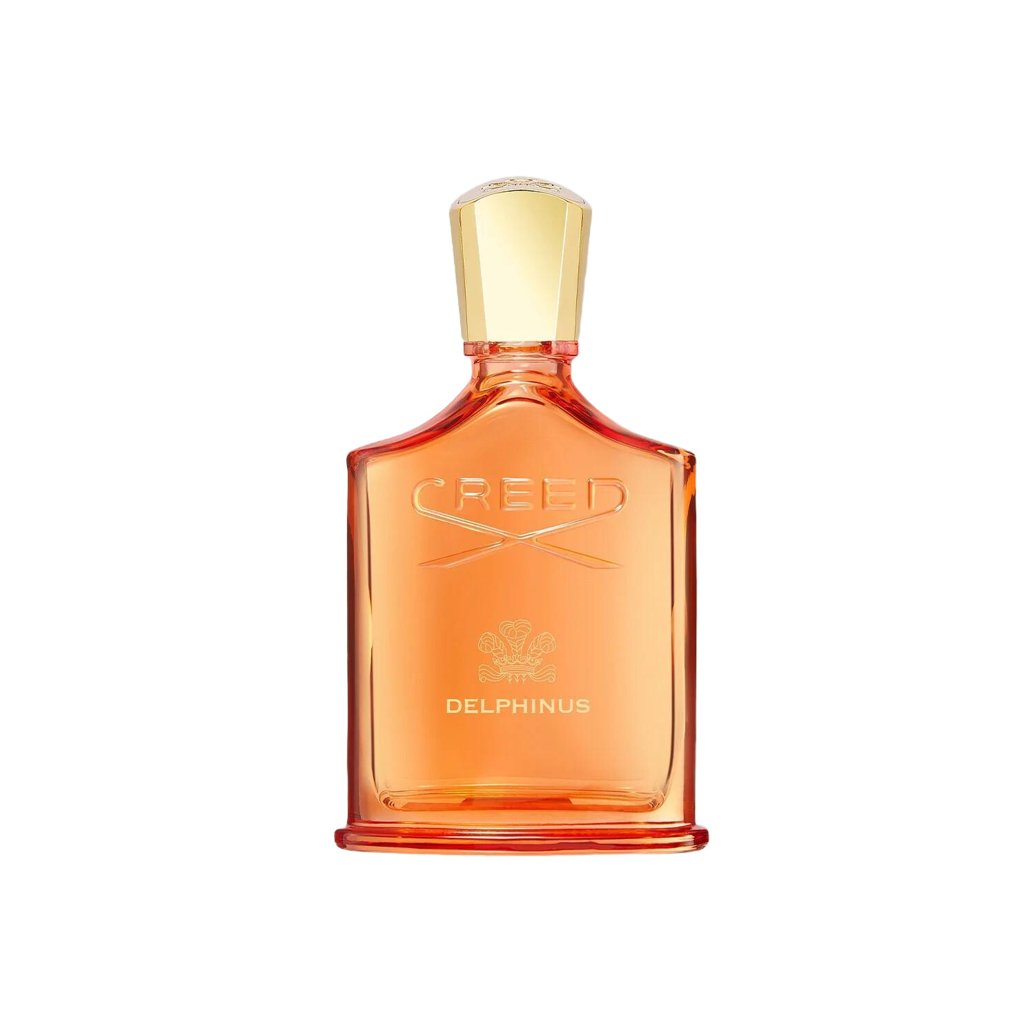 Delphinus Creed perfume a new fragrance for women and men 2024