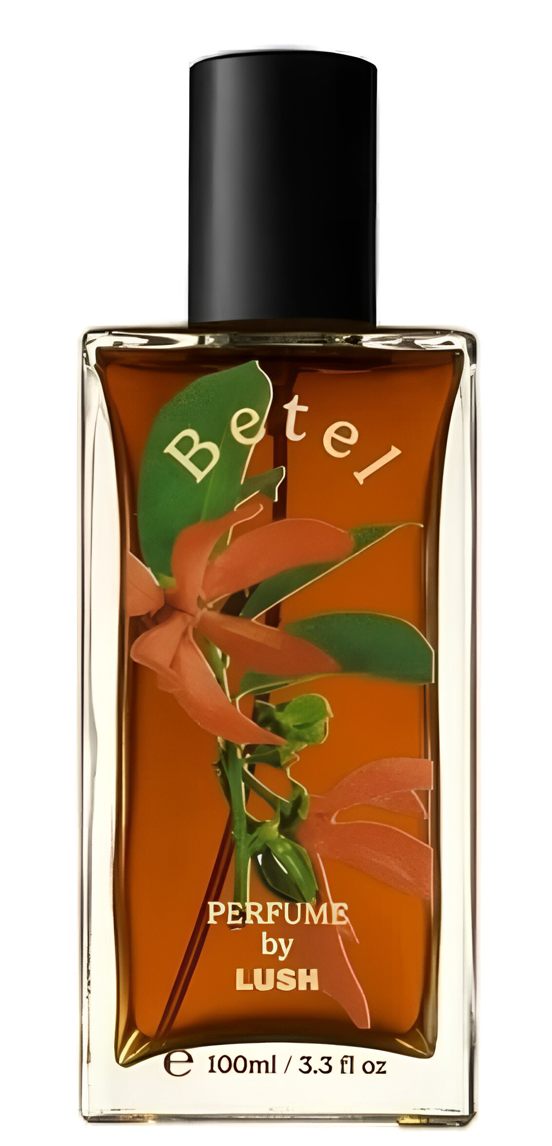 Betel Lush perfume - a new fragrance for women and men 2024