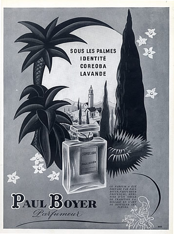 L’homme sous les palmes