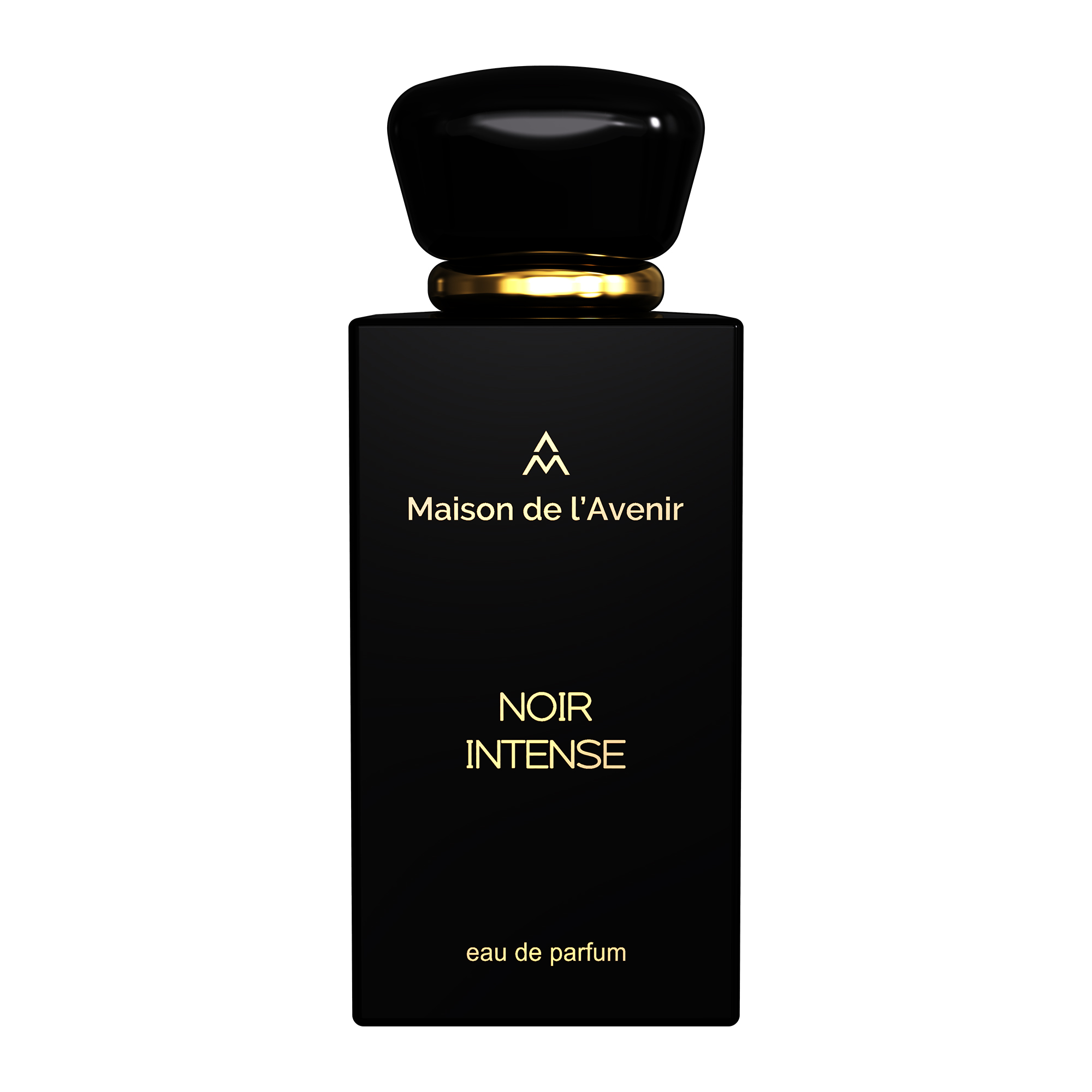 その他 Noir Noir Intense Maison de l'Avenir perfume - a novo