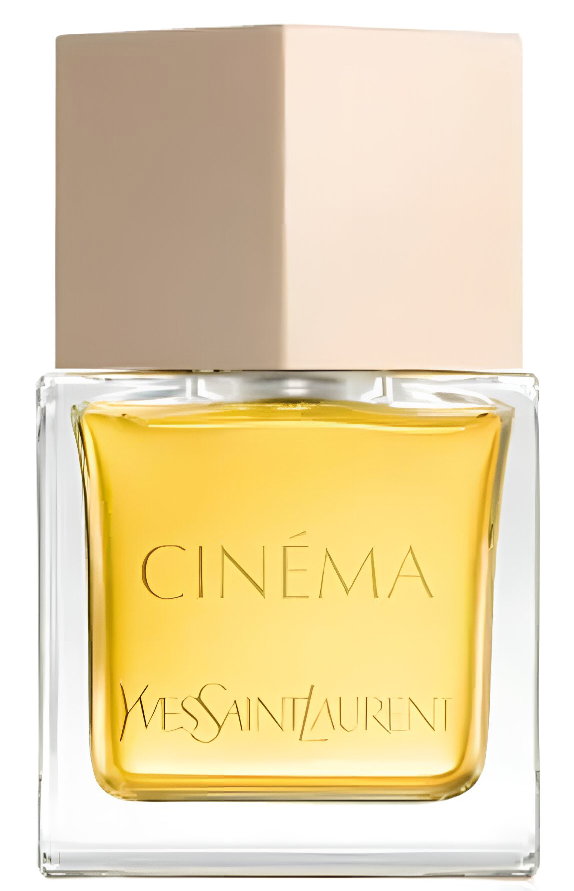香水(女性用) Yves saint Laurent CINEMA 50ml Cinéma 2024 Yves Saint Laurent perfume - a new fragrance for