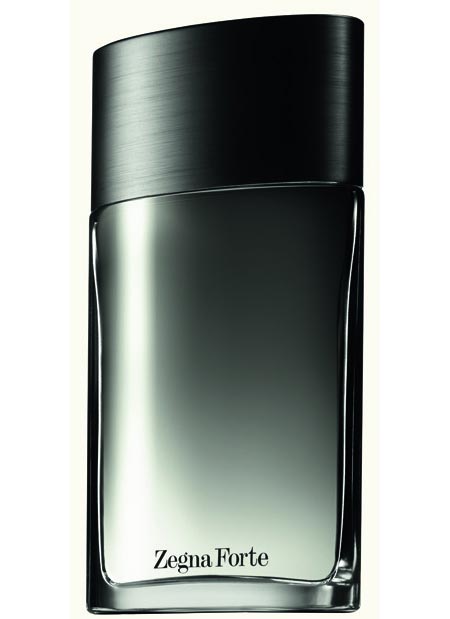 Zegna Forte オードトワレ 100ml 大容量 Zegna Forte オードトワレ 100ml 大容量 Zegna Forte 2 pcs set