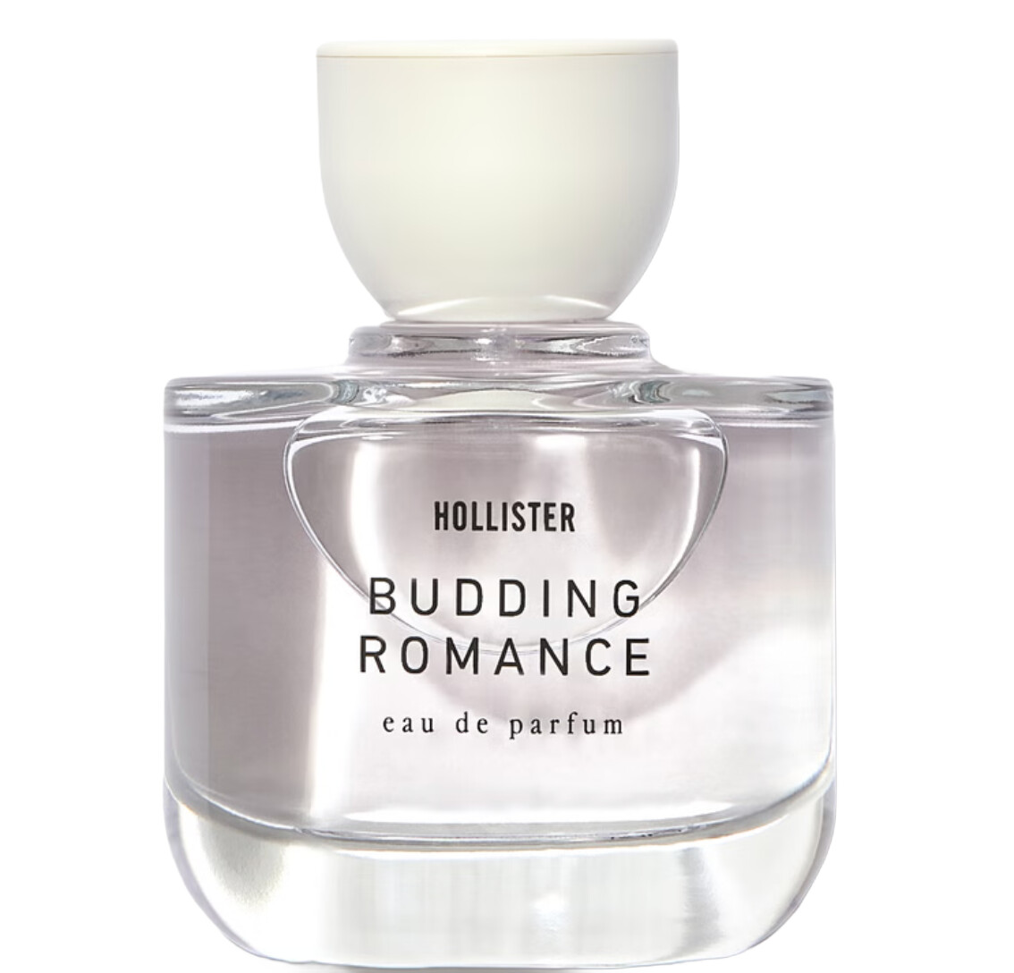 Budding Romance Hollister perfume a new fragrance for women 2024
