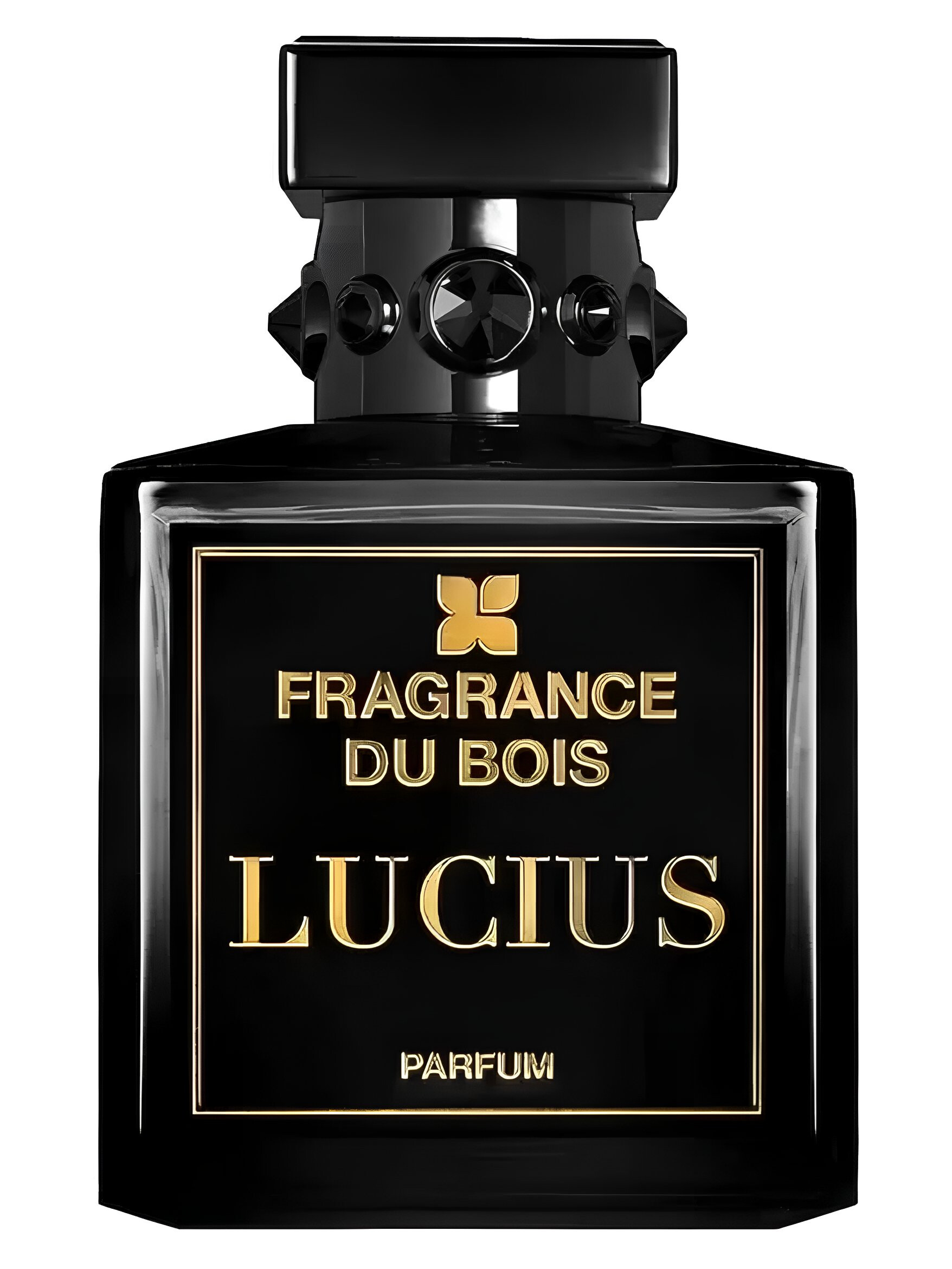 FRAGRANCE DU BOIS LUCIUS パルファム 100ml Lucius Fragrance Du Bois fragancia - una nuevo fragancia para