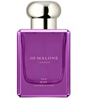 Taif Rose