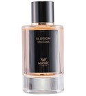 Blossom Enigma Manël