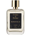 Maraviglia