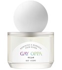 Gay Oppa