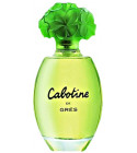 perfume Cabotine