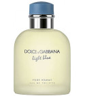 Light Blue Eau Intense Pour Homme Dolce amp Gabbana cologne