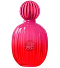 The Icon Supreme for Women