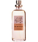 בושם Mimosa
