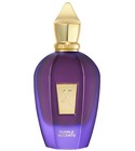 Purple Accento