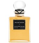 Muscara