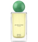 Orange Bitters Cologne 2025