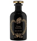Ylang Ambrato