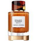 Stallion Leather Sirocco