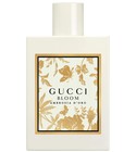 Bloom Ambrosia d'Oro
