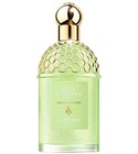 Aqua Allegoria Perle Nerolia Vetiver