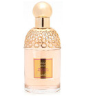 Litchi perfume ingredient, Litchi fragrance and essential oils Litchi ...
