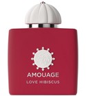 Love Hibiscus