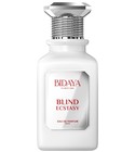 Blind Ecstasy