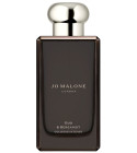 Jo malone london dark amber discount & ginger lily cologne intense