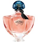 Shalimar Millesime Rose