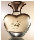 mary j blige perfume walgreens