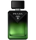 Paradigme Le Parfum
