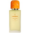 chanson parfum dolce gabbana
