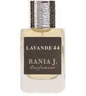 Lavande 44 Rania J