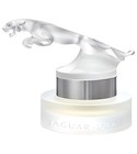בושם Jaguar by Lalique