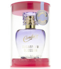 cotton candy scent perfume