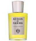 Acqua di Parma Colonia Acqua di Parma perfume - a fragrance for women ...
