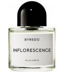 perfume Inflorescence