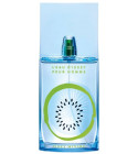 L'Eau d'Issey Pour Homme Summer 2013 Issey Miyake